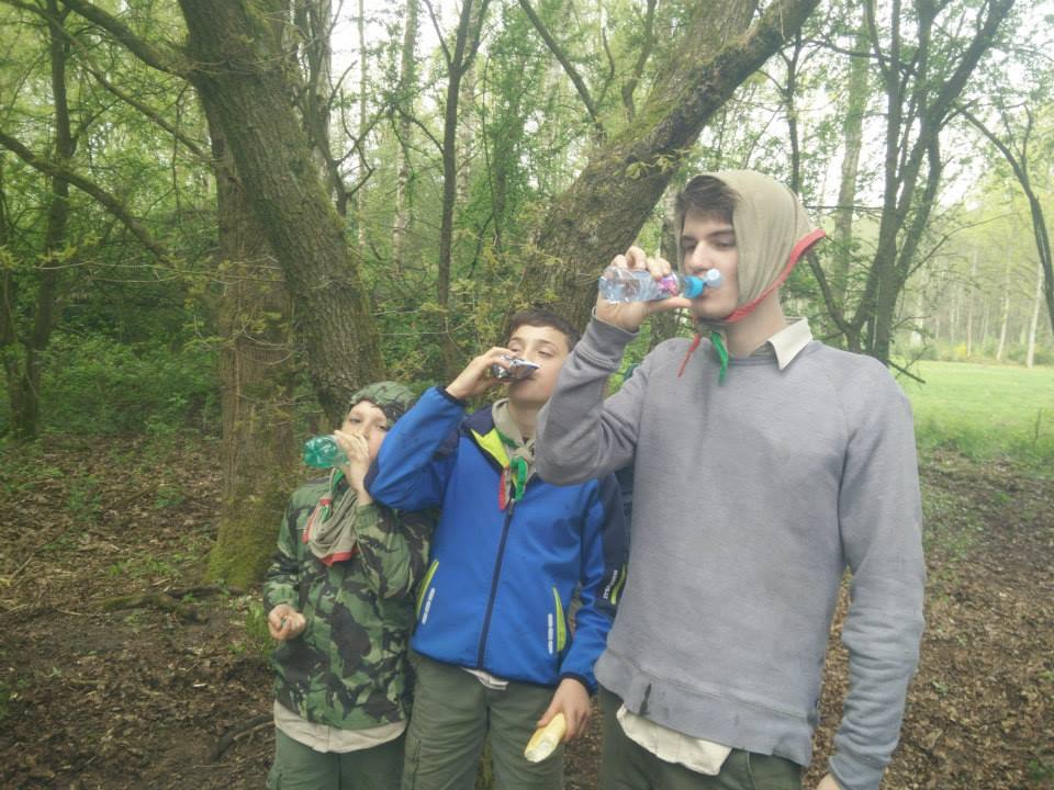 Sint-Martinus den XIIde - Welpen Hollandsveld April mei